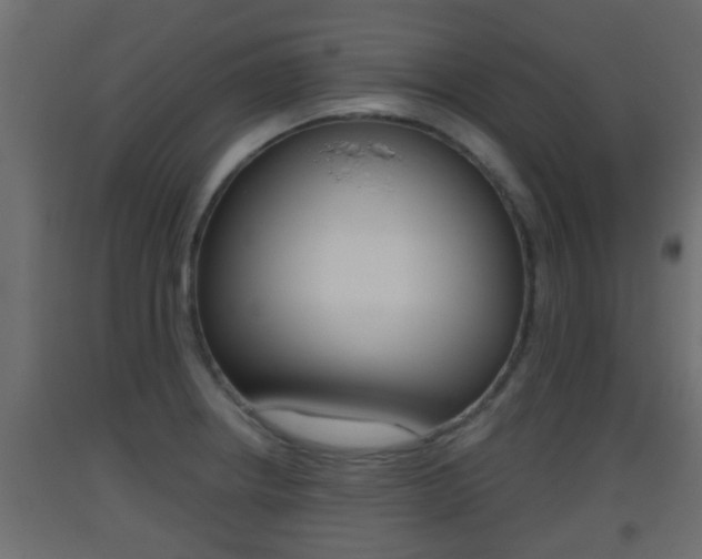 X0000093501234200710121036