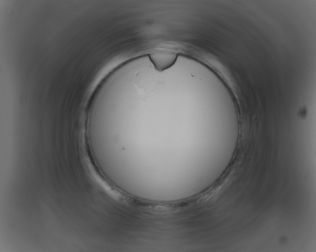 X0000093501235200710121036