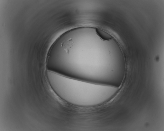 X0000093501236200710121036