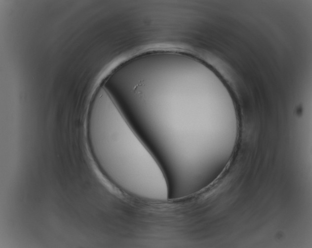 X0000093501237200710121036