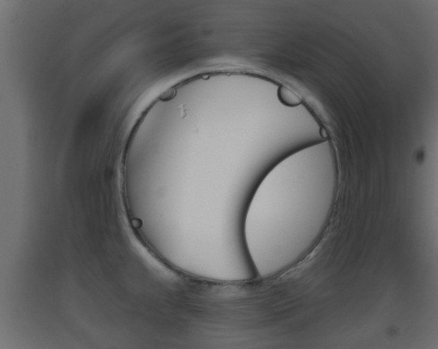 X0000093501239200710121036