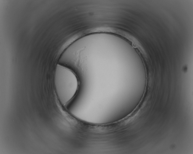 X0000093501241200710121036