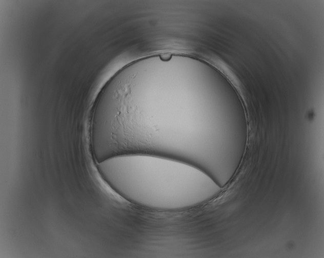 X0000093501243200710121036