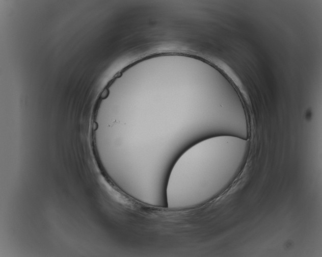 X0000093501245200710121036