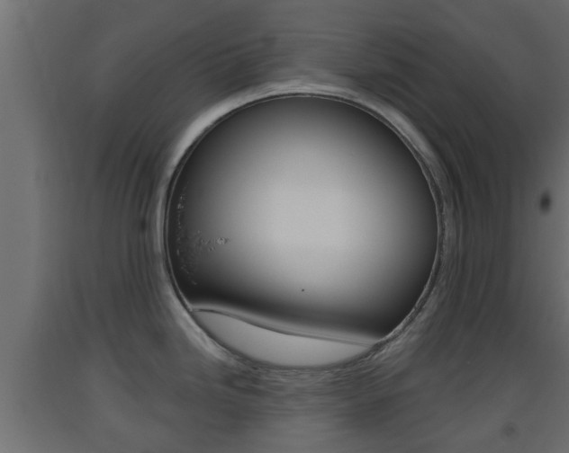 X0000093501246200710121036