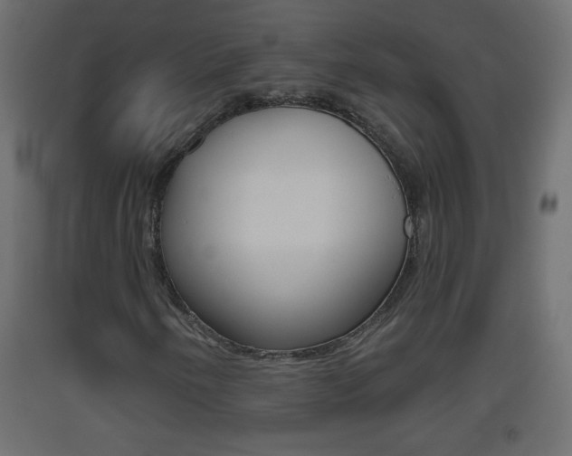 X0000093501250200710121036