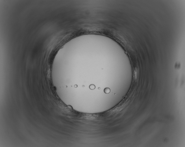 X0000093501251200710121036