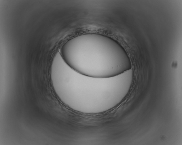 X0000093501253200710121036