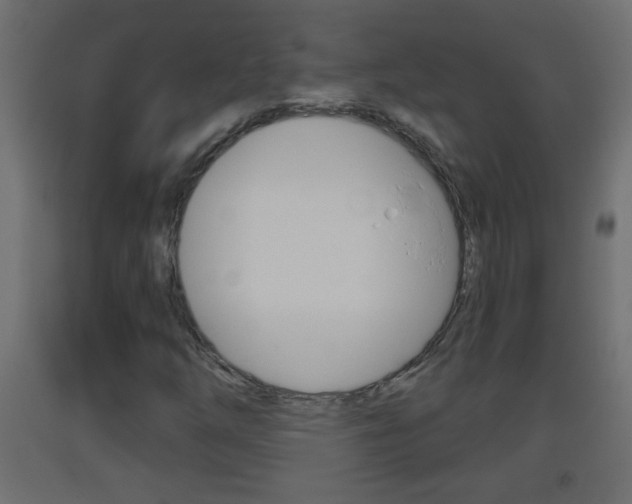 X0000093501254200710121036