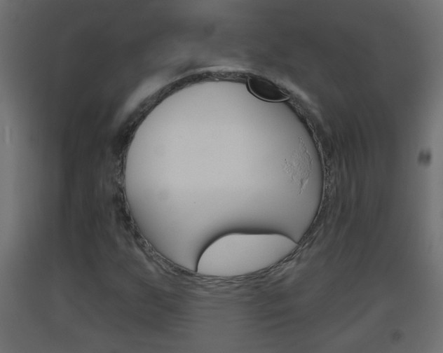 X0000093501255200710121035