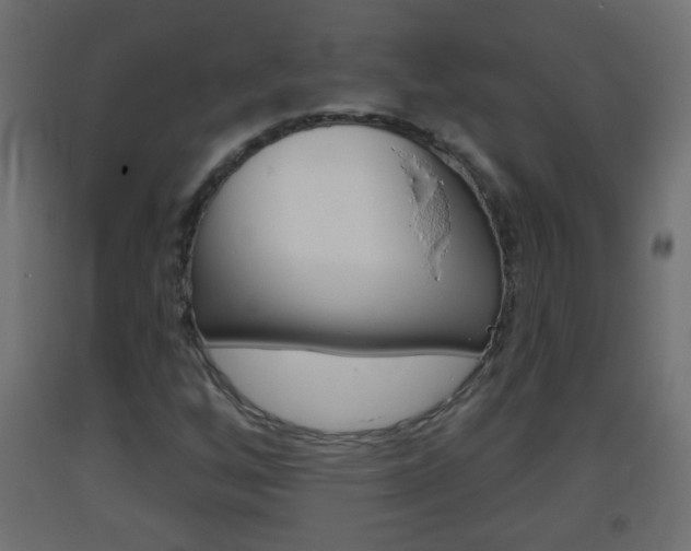 X0000093501256200710121035