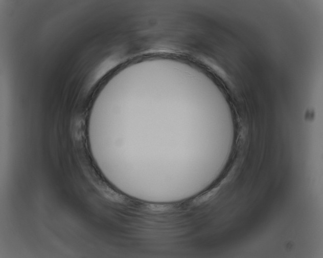 X0000093501258200710121035