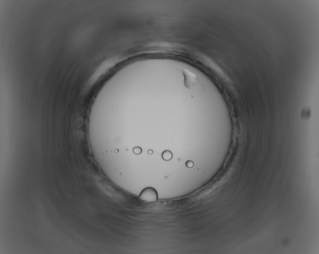 X0000093501259200710121035