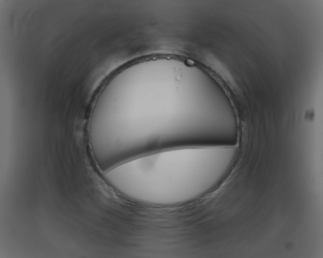 X0000093501260200710121035