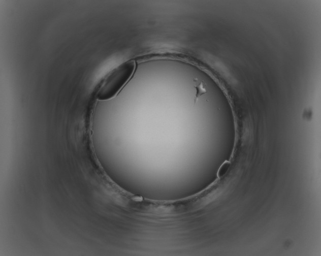 X0000093501261200710121035