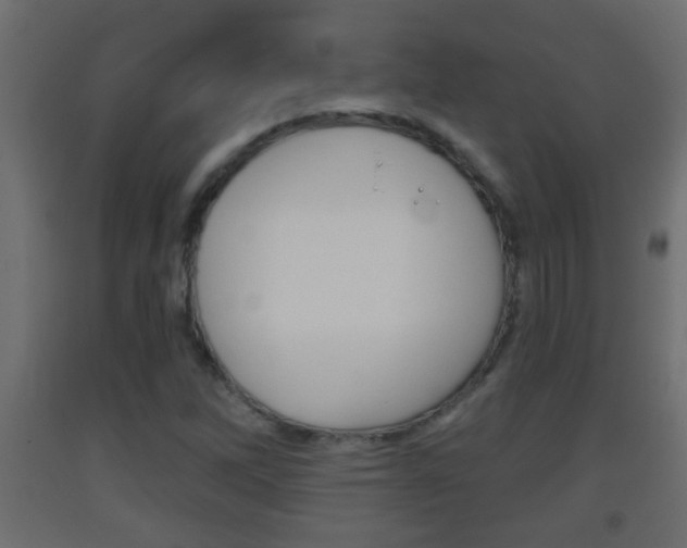 X0000093501262200710121035