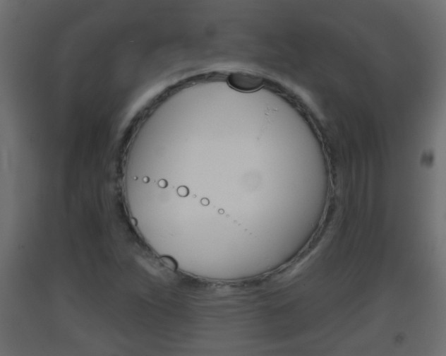 X0000093501263200710121035