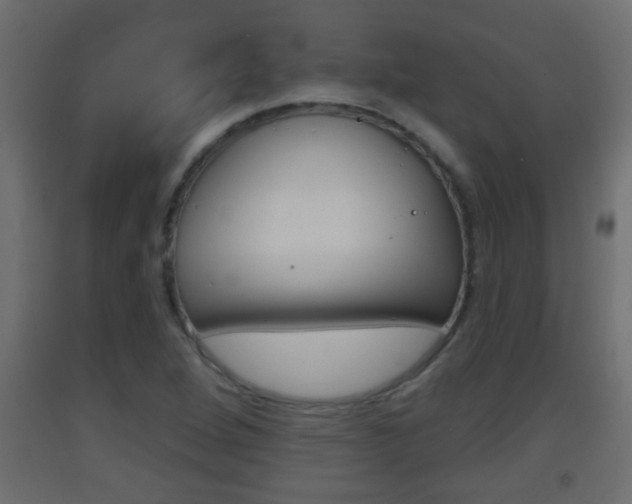 X0000093501264200710121035