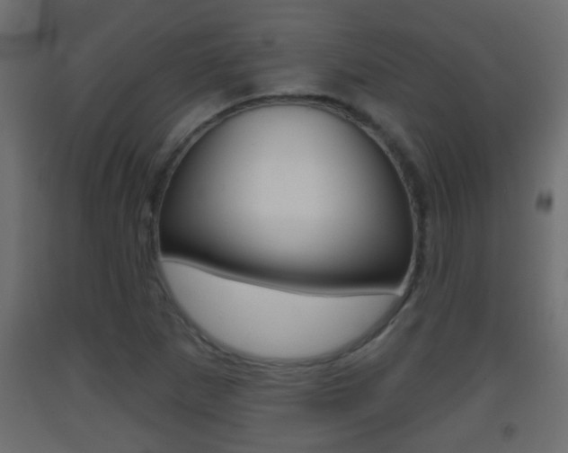 X0000093501265200710121035