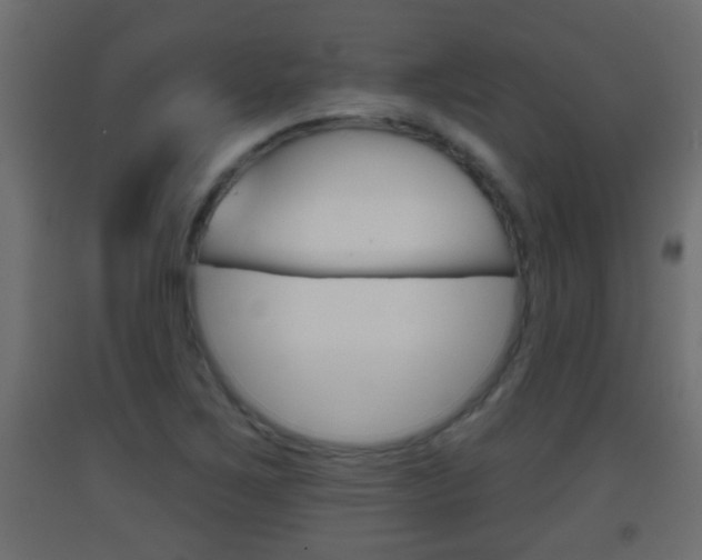 X0000093501267200710121035