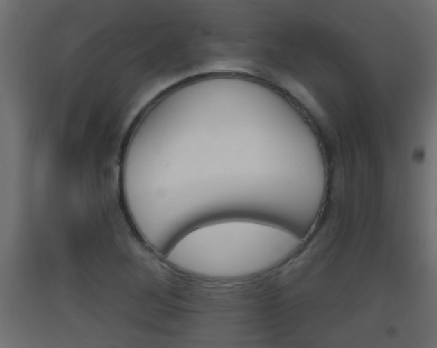 X0000093501268200710121035