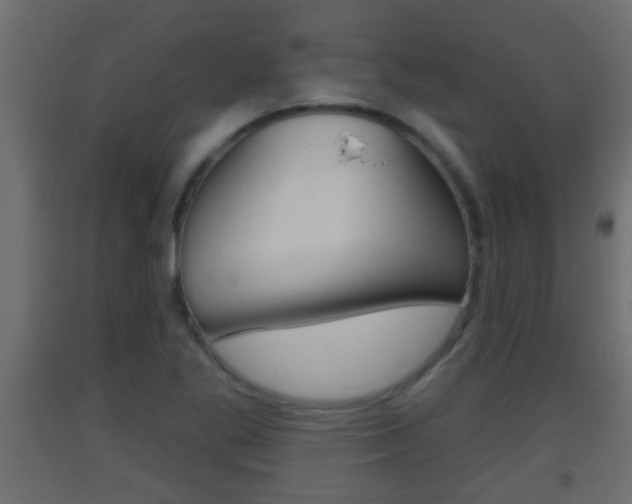 X0000093501269200710121035
