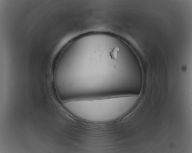 X0000093501270200710121035