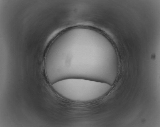 X0000093501271200710121035