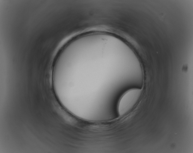 X0000093501272200710121035