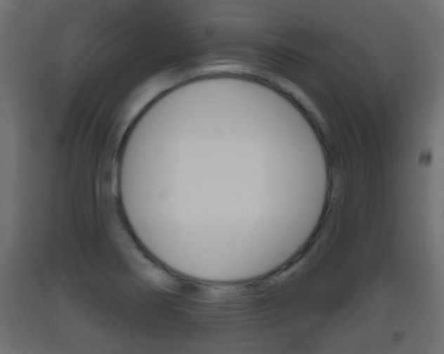 X0000093501274200710121035