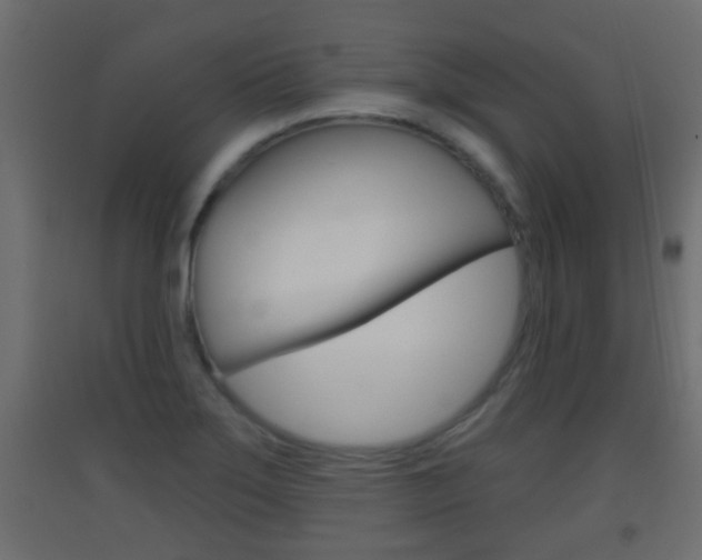 X0000093501275200710121035