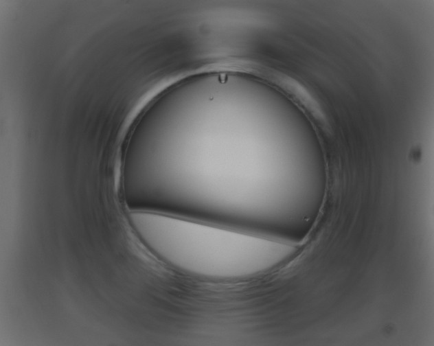 X0000093501276200710121035