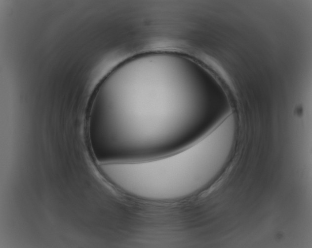 X0000093501277200710121035