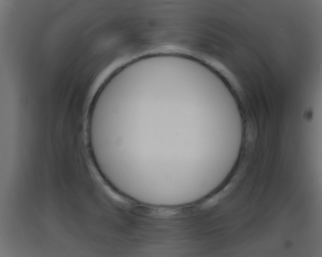 X0000093501278200710121035