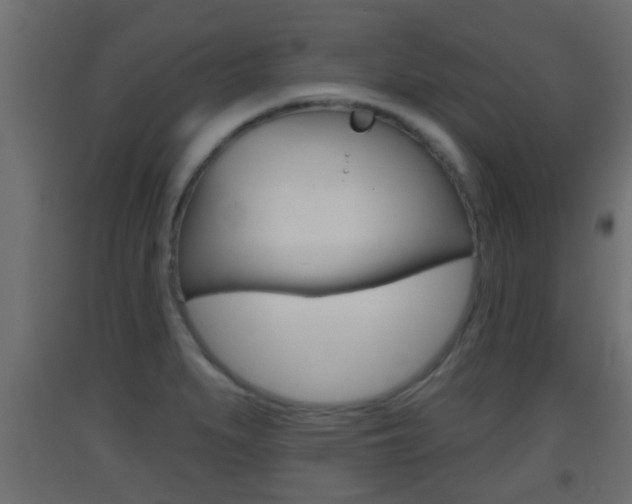 X0000093501279200710121035