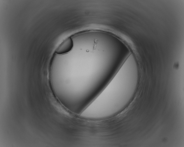 X0000093501280200710121035