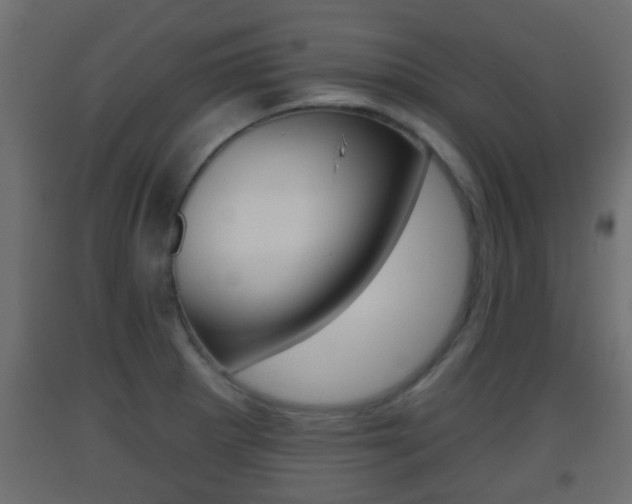 X0000093501281200710121035