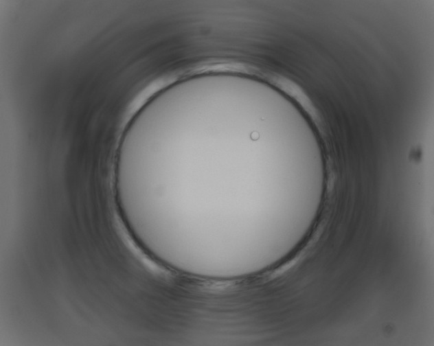 X0000093501282200710121035
