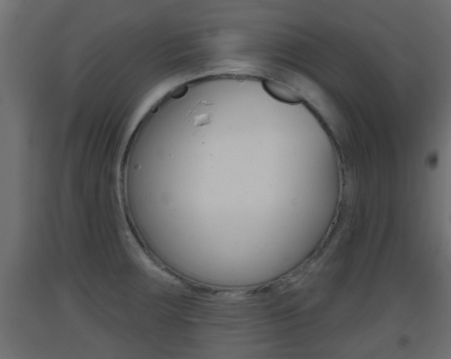 X0000093501283200710121035