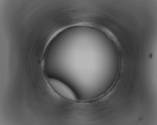 X0000093501284200710121035