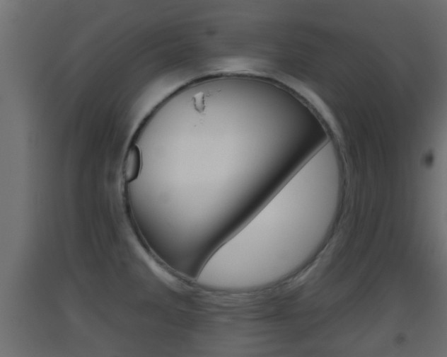 X0000093501285200710121035