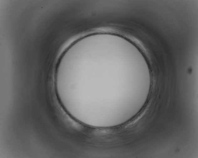 X0000093501286200710121035