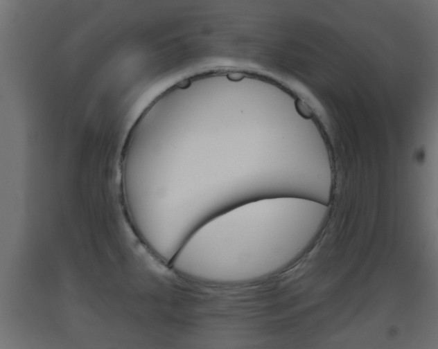X0000093501287200710121035