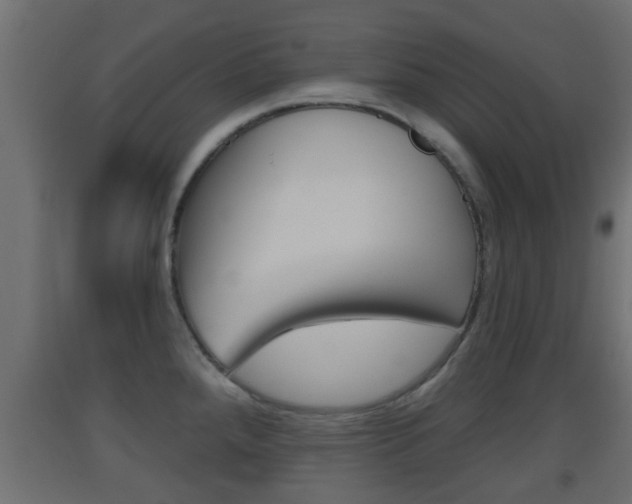 X0000093501288200710121035