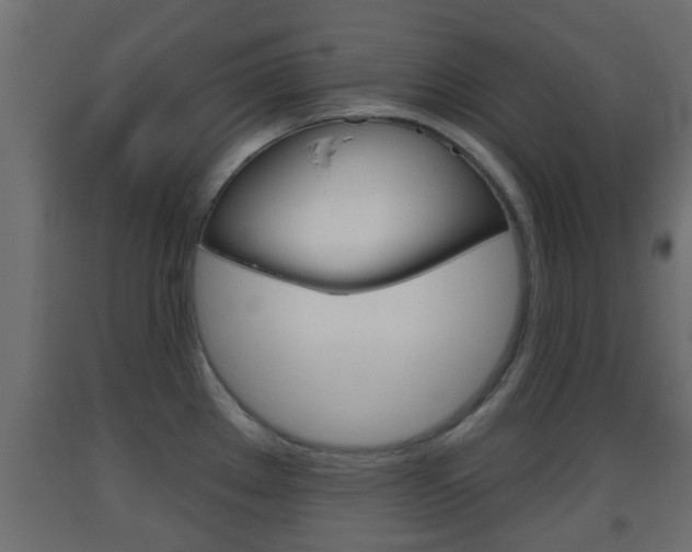 X0000093501289200710121035