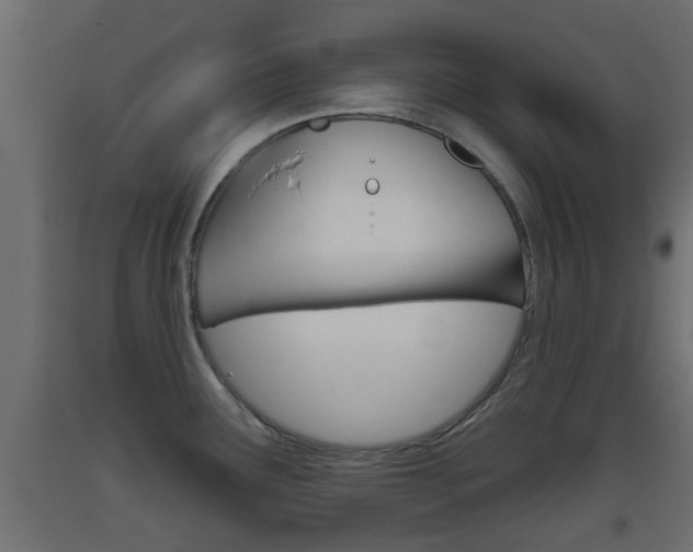 X0000093501291200710121035