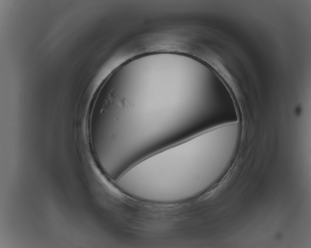 X0000093501293200710121035