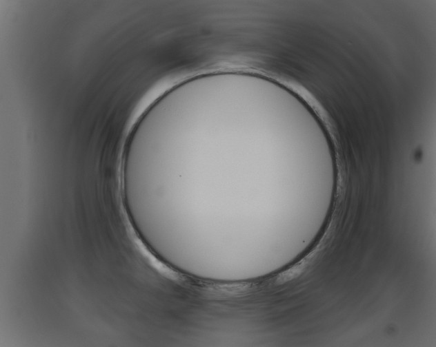 X0000093501294200710121035