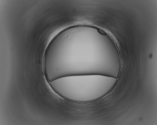 X0000093501295200710121035
