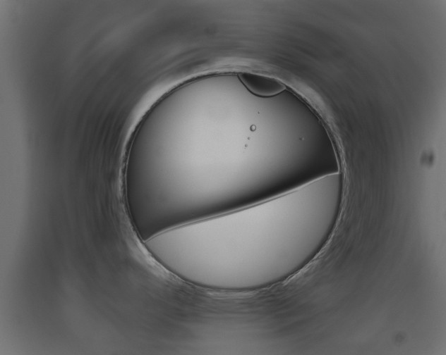 X0000093501296200710121035